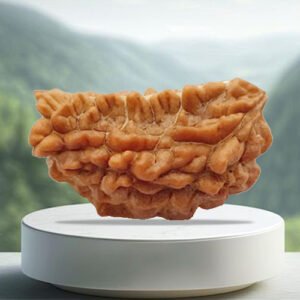1 Mukhi Rudraksha