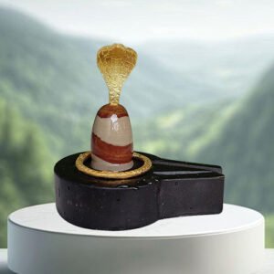 Narmadeshwar Shivling