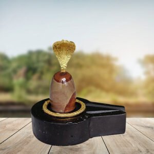 Narmadeshwar Shivling