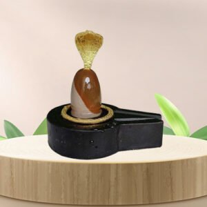 Narmadeshwar Shivling