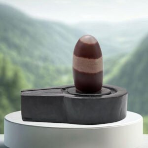 Narmadeshwar Shivling