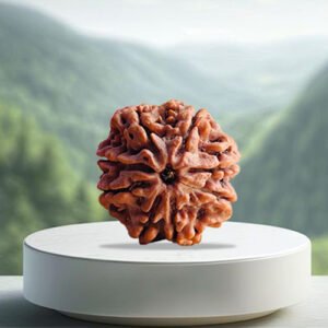 8 Mukhi Rudraksha