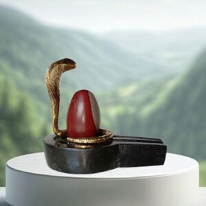 Narmadeshwar Shivling